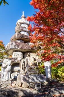 称名寺の紅葉(25) 秋,紅葉,称名寺の写真素材