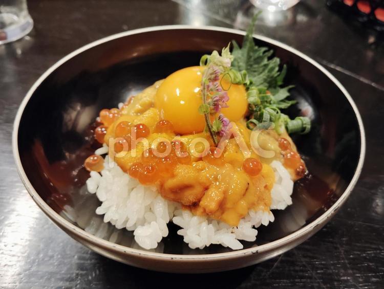 うに丼 うに丼,うに,居酒屋の写真素材