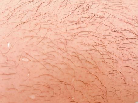 毛深い男性の足 毛深い,足,男性の写真素材