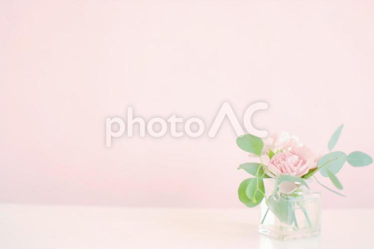 テーブルの上のカーネーション カーネーション,ピンク,背景の写真素材