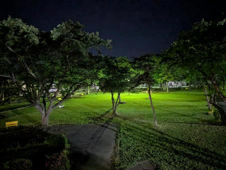 公園 公園 公園,夜の公園,空の写真素材