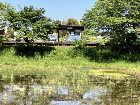 緑にかこまれた小湊鉄道飯給駅 緑にかこまれた小湊鉄道飯給駅の写真