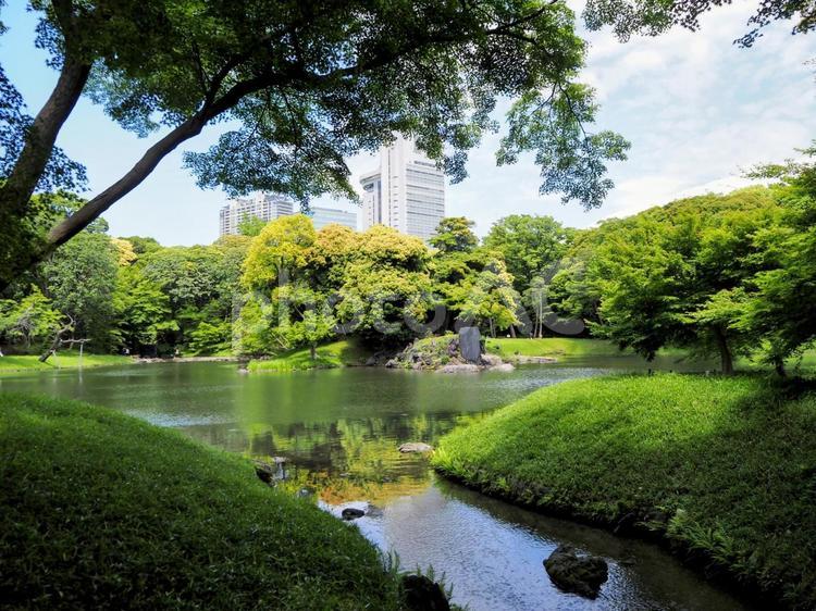小石川後楽園の池＆新緑の木々（文京区） 夏,小石川後楽園,文京区の写真素材