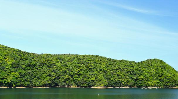 新緑のやんばる　沖縄県東村 山,ダム湖,青空の写真素材