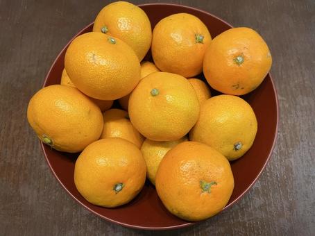 赤い器とみかん みかん,果物,食卓の写真素材