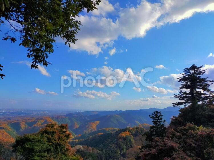 高尾山　かすみ台からの景色　都心をのぞむ 空,自然,青い空の写真素材