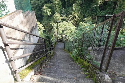 階段 階段の写真