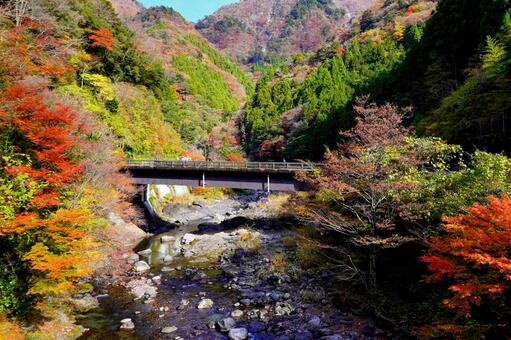 高知県香美市・べふ峡の紅葉 高知,高知県,香美市の写真素材