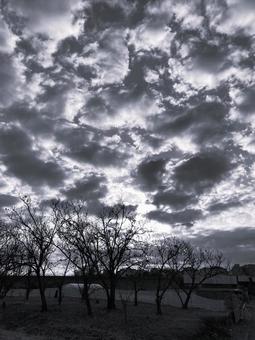 モノクロ 風景 モノクロ 風景の写真