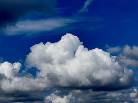 大きな雲　青空 青空,雲,白い雲の写真素材