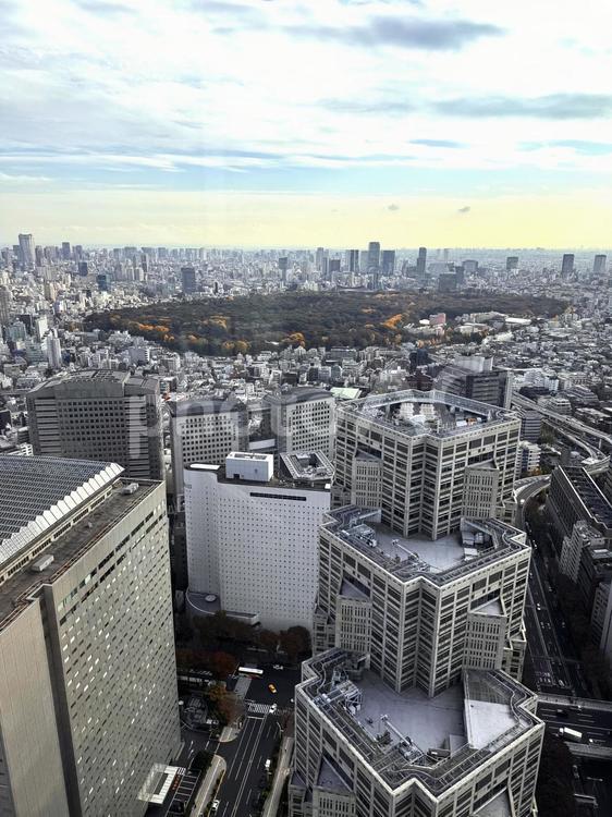 東京都庁の展望台から見た街並み 東京,旅行,風景の写真素材
