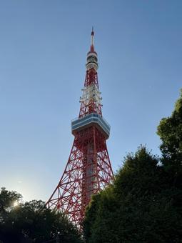 東京タワー 東京タワーの写真