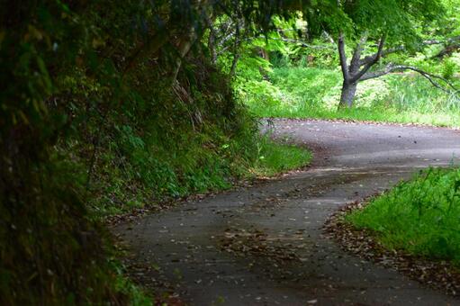 田舎のあぜ道 田舎のあぜ道の写真