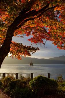 芦ノ湖の紅葉 秋,モミジ,赤の写真素材