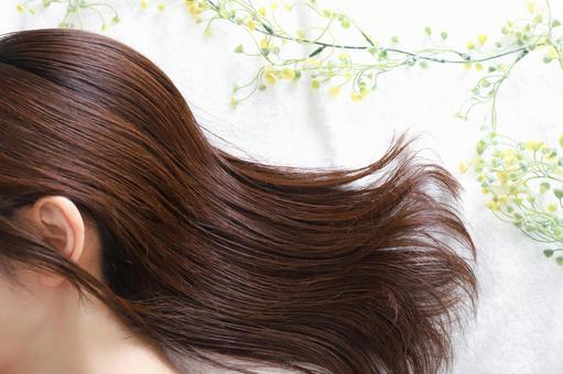 女性の髪の毛 ヘアケアイメージ 女性の髪の毛 ヘアケアイメージ 髪の毛,髪型,ロングの写真素材
