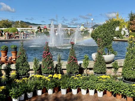 秋の武生中央公園 秋の武生中央公園 武生中央公園,福井県,越前市の写真素材