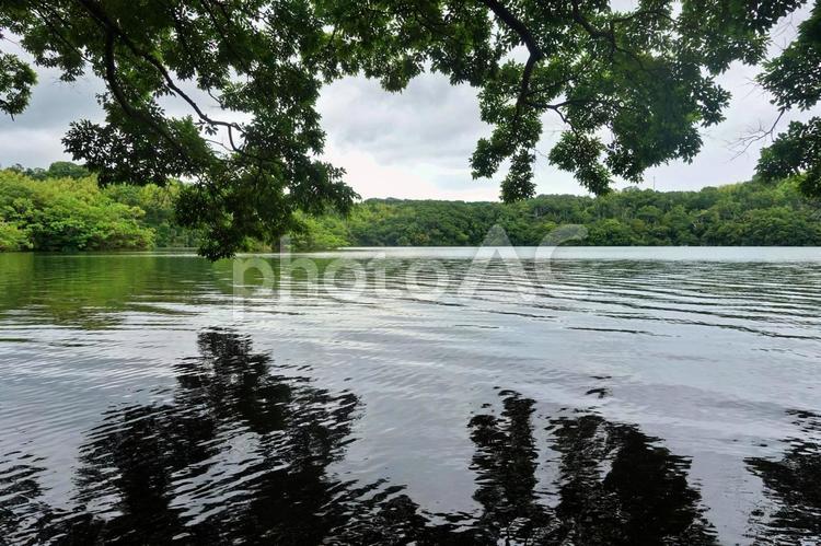 明るい夏空を待つ一碧湖風景 灰色の空,曇り,梅雨の写真素材