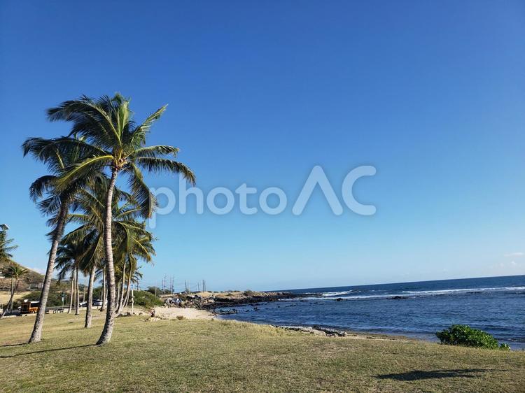 海でたそがれる 夏,ビーチ,海の写真素材