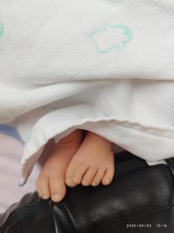 新生児の足 新生児の足の写真