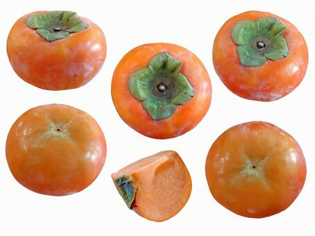 柿 秋,柿,冬の写真素材