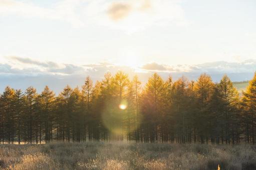 ビーナスラインの秋 ビーナスライン,長野県,車山高原の写真素材