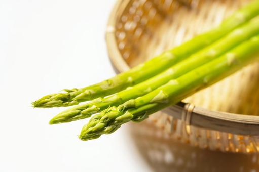 グリーンアスパラ グリーンアスパラ アスパラガス,アスパラ,野菜の写真素材
