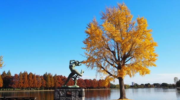 秋の水元公園・銀杏の紅葉＆銅像（葛飾区） 秋,水元公園,紅葉の写真素材