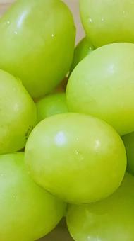 シャインマスカットの写真