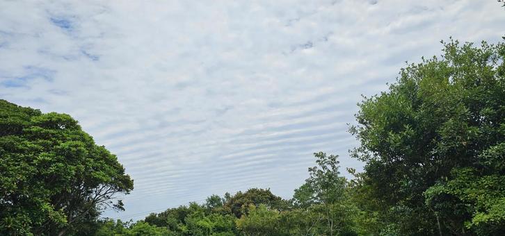 雲 雲の写真