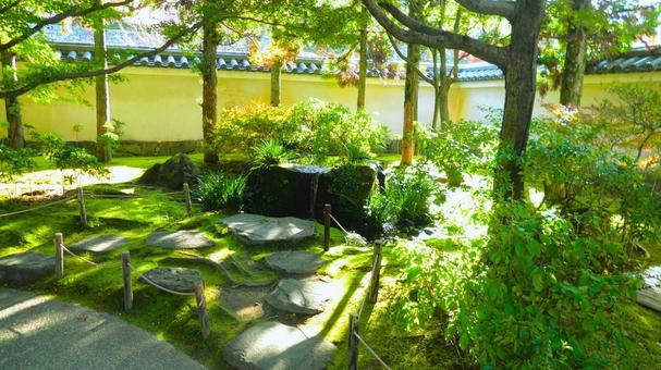 姫路城 好古園 日本庭園,日本家屋,御屋敷の写真素材