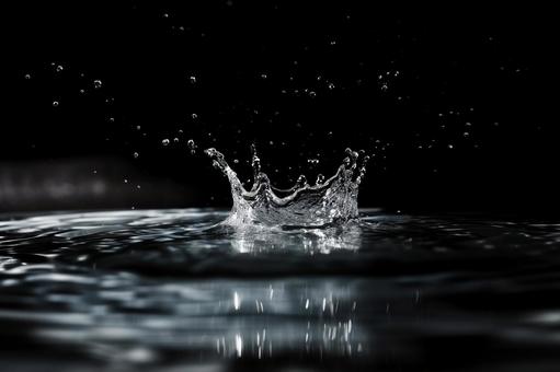 黒背景の水しぶき(スプラッシュ) 黒背景の水しぶき(スプラッシュ)の写真