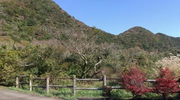 田代原キャンプ場付近の風景 長崎県,雲仙,国立公園の写真素材