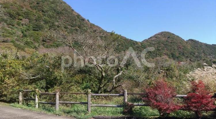 田代原キャンプ場付近の風景 長崎県,雲仙,国立公園の写真素材