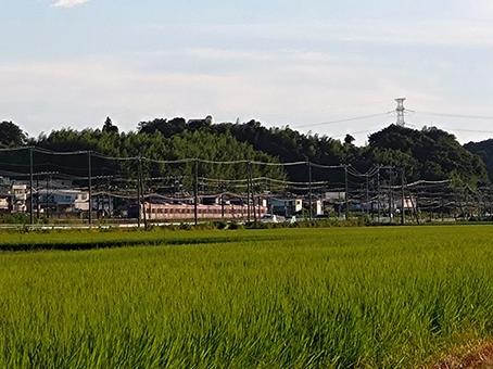 広場前を走る電車００１ 佐倉ふるさと広場前,電車,京成電鉄の写真素材