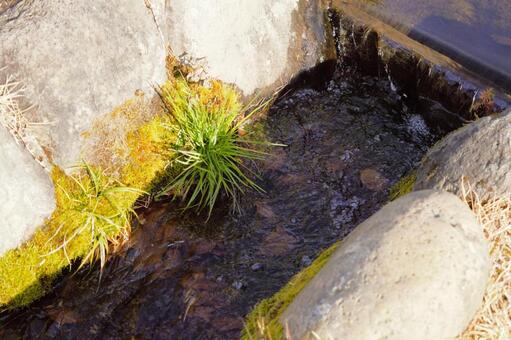 秋の小川 小川,せせらぎ,散策の写真素材
