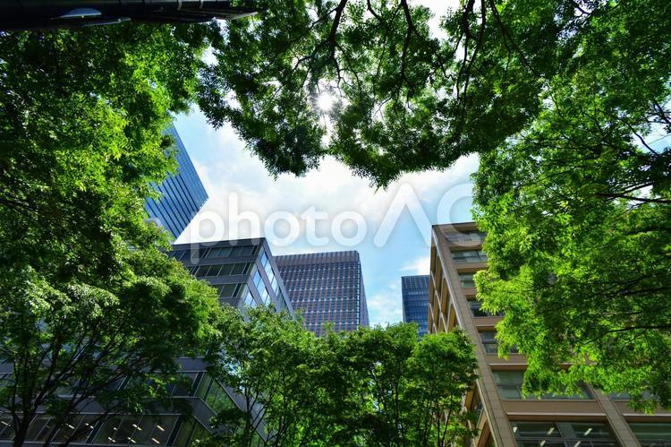 ビルと青空　都会と青空　東京駅近辺 ビル,太陽,青空の写真素材