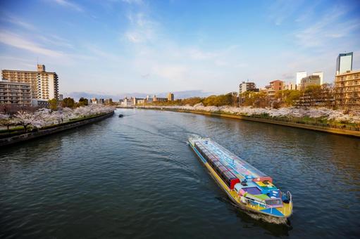 Cherry blossoms along the river at Kema Sakuranomiya Park, JPG Cherry blossoms along the river at Kema Sakuranomiya Park, JPG