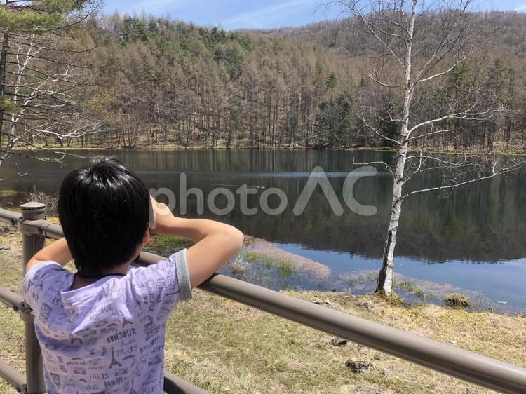 長野県奥蓼科・御射鹿池を眺める男の子 風景,長野県,御射鹿池の写真素材