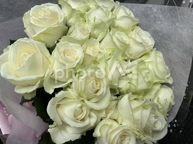 白いバラの花束 バラ,薔薇,白バラの写真素材
