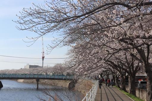 宇美町 川 宇美町 川の写真