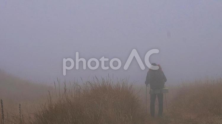 霧の中を歩く男性 霧,白い,ガスの写真素材