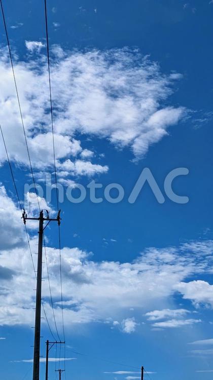 青空と電線、夏の空模様 空,青空,雲の写真素材