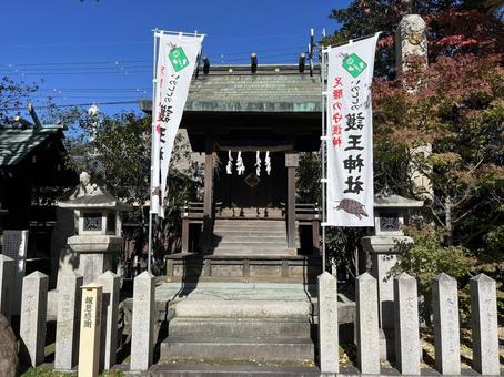 護王神社 護王神社,京都,寺社の写真素材