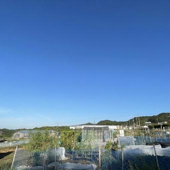 風景 風景 そら,景色,風景の写真素材