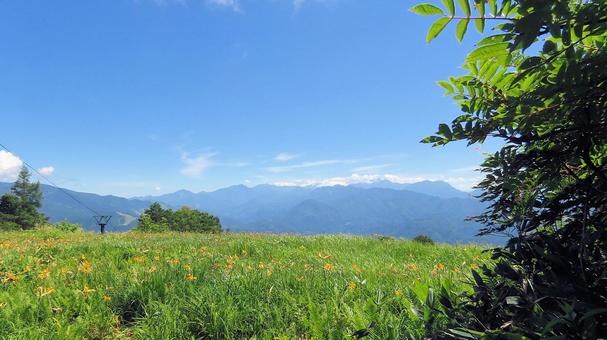 白馬五竜アルプス平自然遊歩道にて 白馬五竜アルプス平自然遊歩道にて 白馬五竜高山植物園,夏山,アルプス平自然遊歩道の写真素材