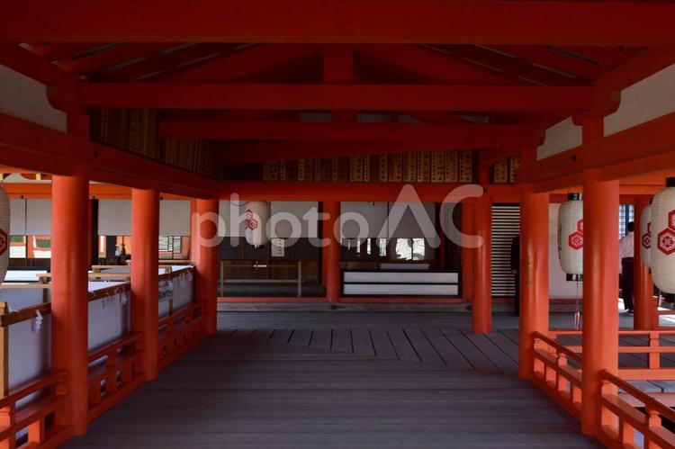 広島　宮島　厳島神社　日本三景 広島,広島県,宮島の写真素材