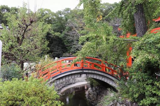 賀茂御祖神社(下鴨神社)輪橋 賀茂御祖神社(下鴨神社)輪橋 賀茂御祖神社,下鴨神社,輪橋の写真素材