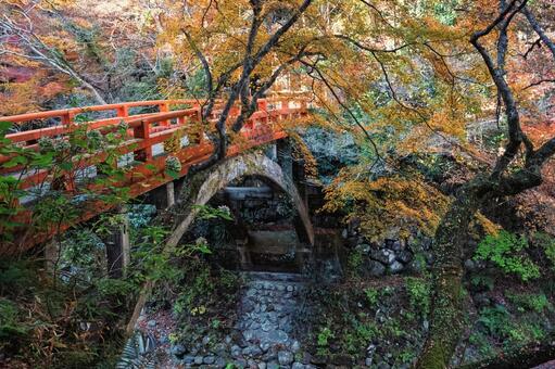 高雄 槙尾山 西明寺への指月橋の紅葉 京都,高雄,槙尾山の写真素材