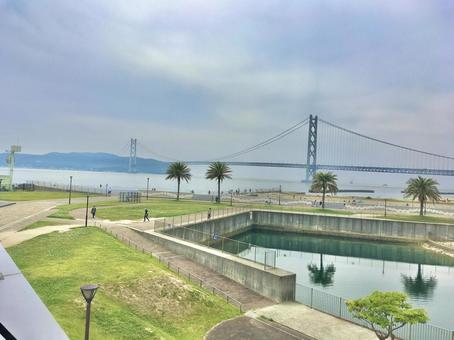 平磯海釣り公園からの明石海峡大橋 明石海峡大橋,平磯海づり公園,神戸の写真素材