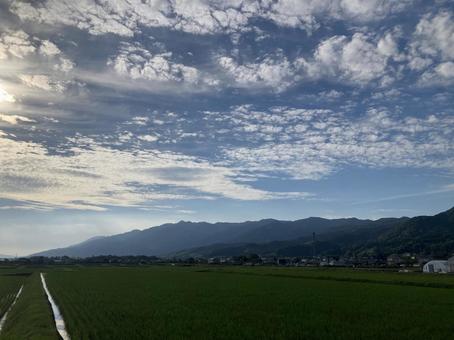 夏の空と雲と緑 夏,空,雲の写真素材